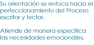 Su orientación se enfoca hacia el perfeccionamiento del Proceso escritor y lector. Atiende de manera especifica las necesidades emocionales.